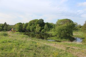 Panoramabillede af et frodigt, grønt landskab med en rolig sø, omgivet af tætte træer og græsarealer. Huse i baggrunden.