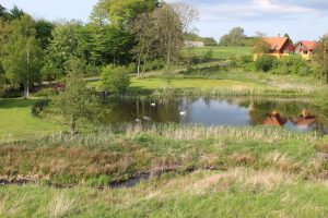 Udsigt over en idyllisk sø med svaner, omgivet af grønne træer og græs, med huse i baggrunden under en let skyet himmel.