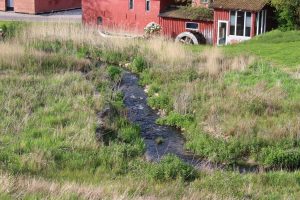 Et lille vandløb snor sig gennem et grønt og tørt græslandskab med røde bygninger og et vandhjul i baggrunden under solskin.